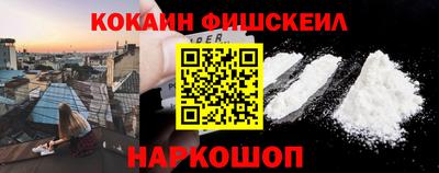 индика Гагарин