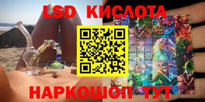 гашик Аргун