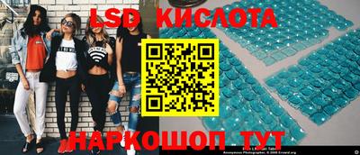 гашик Аргун