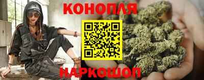 гашик Аргун