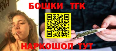 стаф Дубна