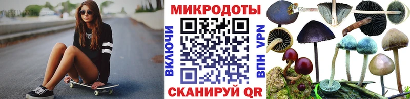 Псилоцибиновые грибы Cubensis Волжский
