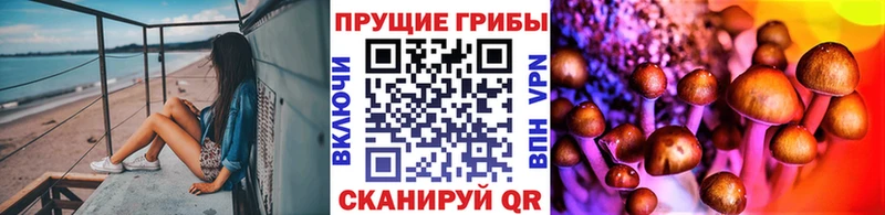 Галлюциногенные грибы мицелий  Волжский 