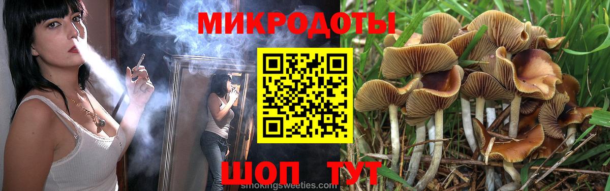 Псилоцибиновые грибы ЛСД  Волжский  Галлюциногенные грибы Psilocybine cubensis 